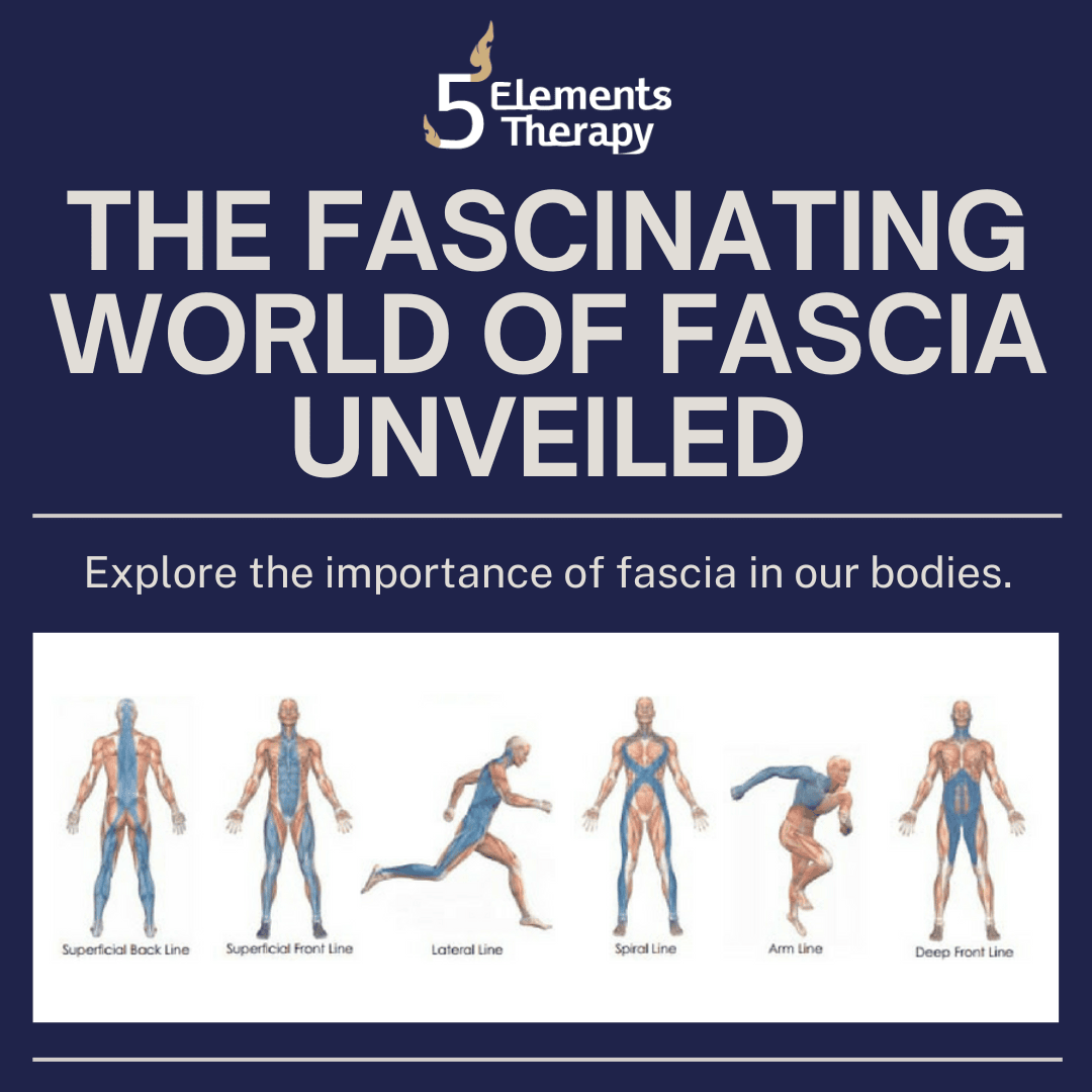 5 Elements Therapy, Thai Massage, Joseph Martino, 5 Element Massage, Thai Massage Milton, Joseph Martino Fitness, fascia, fascia health, fascia releases
